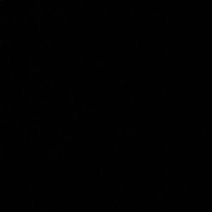 Meet your Posher, Antonette